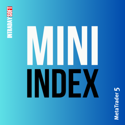 intradaysoft MINI INDEX